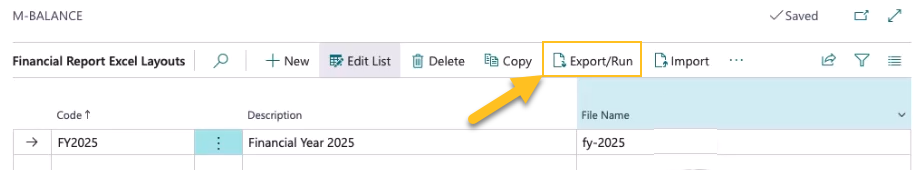 Financial Report Excel Layouts page Export/Run action