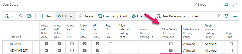 User Setup page Allow Setup of Expense Attributes field